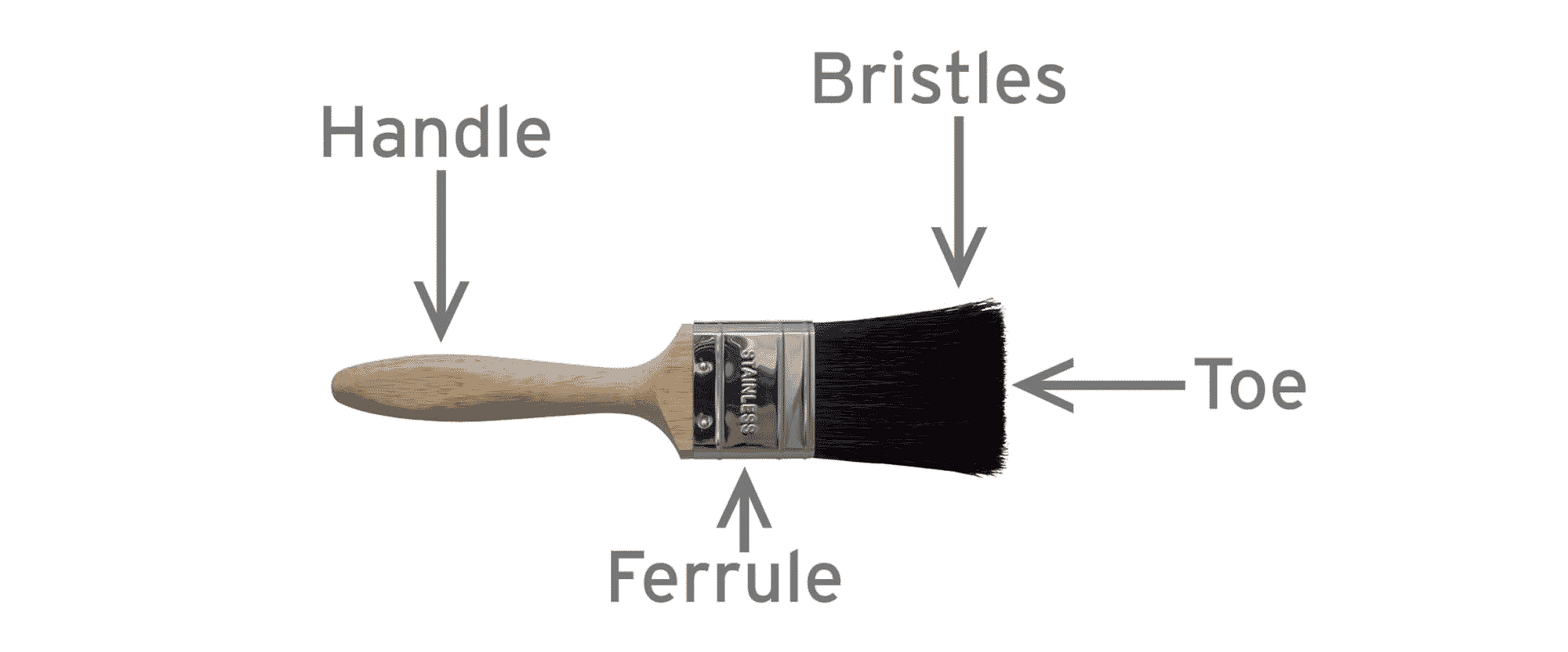 Anatomy of Paint Brush
