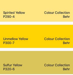 Behr Yellow Color Collection 