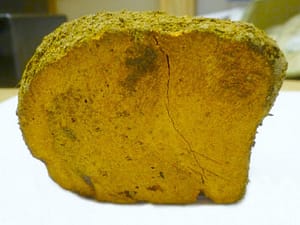 Extraction of natural Indian yellow: Yellow Pigment