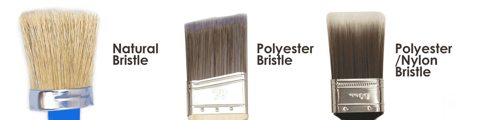 Different Brush Types: Natural Bristle, Polyester Bristle, Polyester/Nylon Bristle