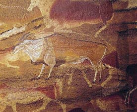 Cave painting from South African - Eland Using Yellow Ochre Pigment