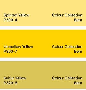Behr Yellow Color Collection 
