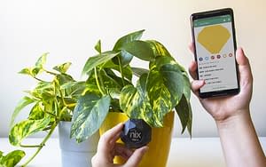 Nix Pro 2 Color Sensor scanning yellow flower pot