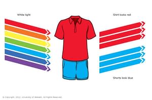 Seven colours hit a red shirt and blue shorts. Only red light bounces off the red shirt, and blue light bounces off the blue shorts.