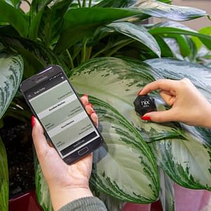 Color Sensor scanning leaf